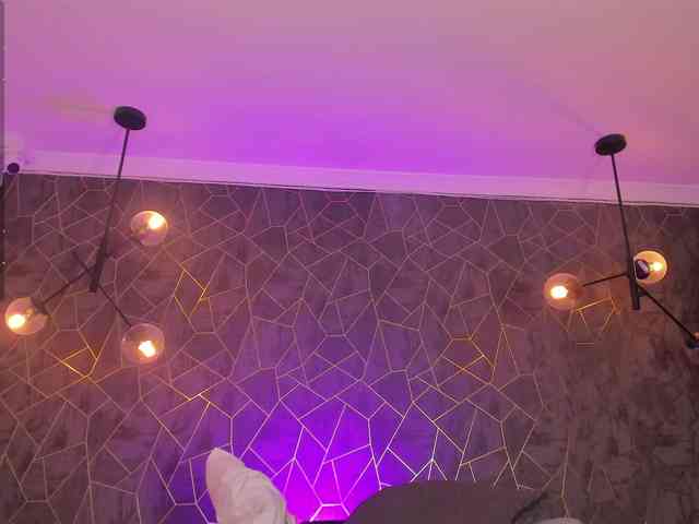 dayra-angels dayra-angels