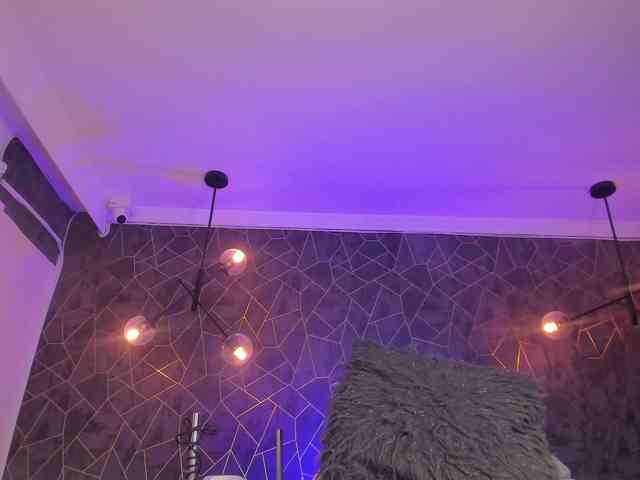 dayra-angels dayra-angels