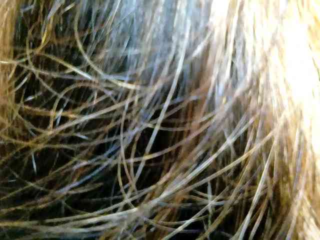 Shaved white, Shaved mature, Full privates for 90 tokens, Privates for 90 t..., Chaturbate America 8