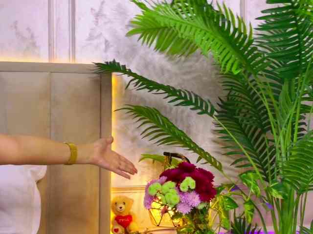 sereneloving sereneloving