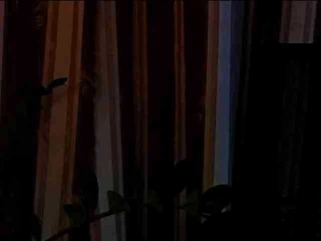 LauraBess webcam