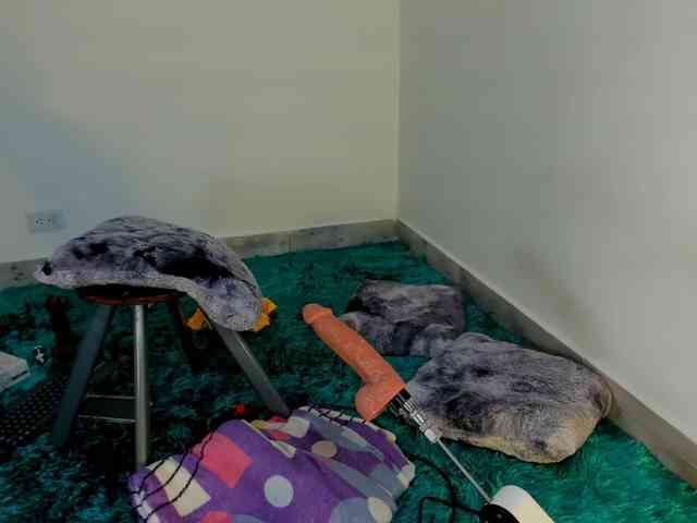 Amelie-hills webcam