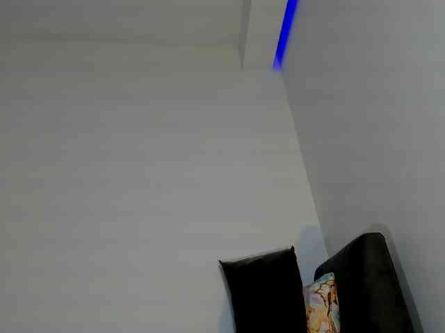 Amelie-hills Amelie-hills