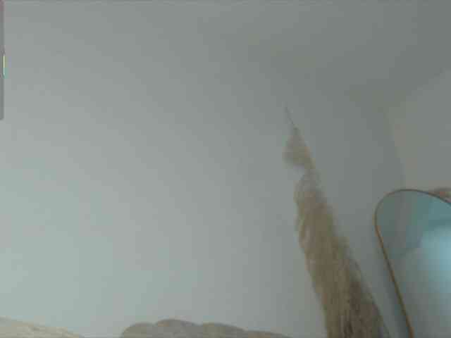 Trissabenson webcam