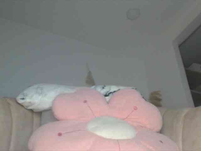 trissabenson trissabenson