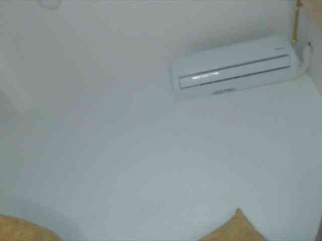 Trissabenson webcam