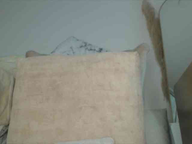 Trissabenson webcam