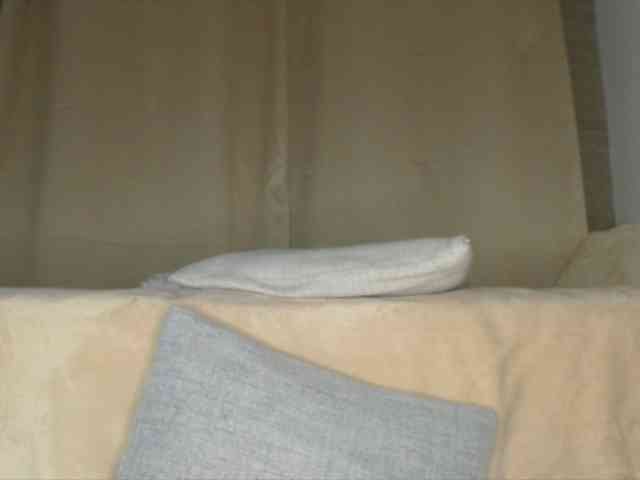 Trissabenson webcam