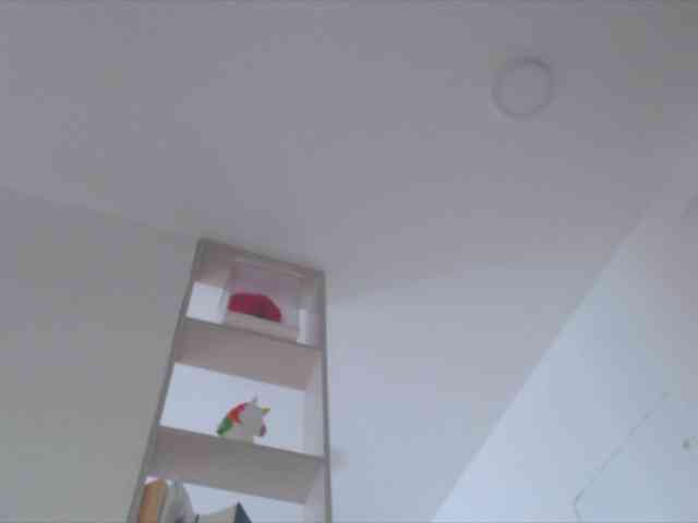 trissabenson trissabenson