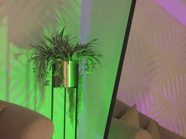 Preview of roseferrera