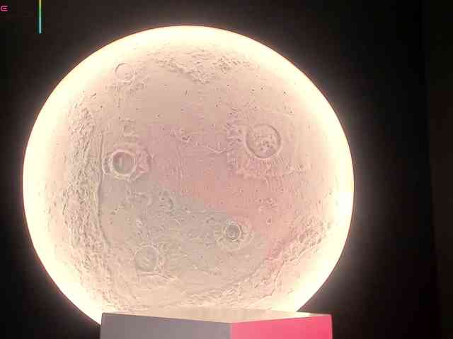 RoseFerrera webcam