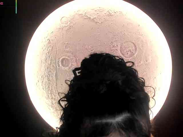 RoseFerrera webcam