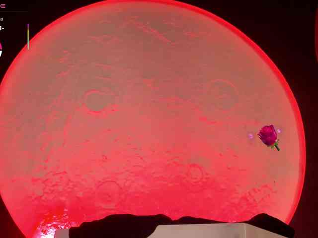 RoseFerrera webcam