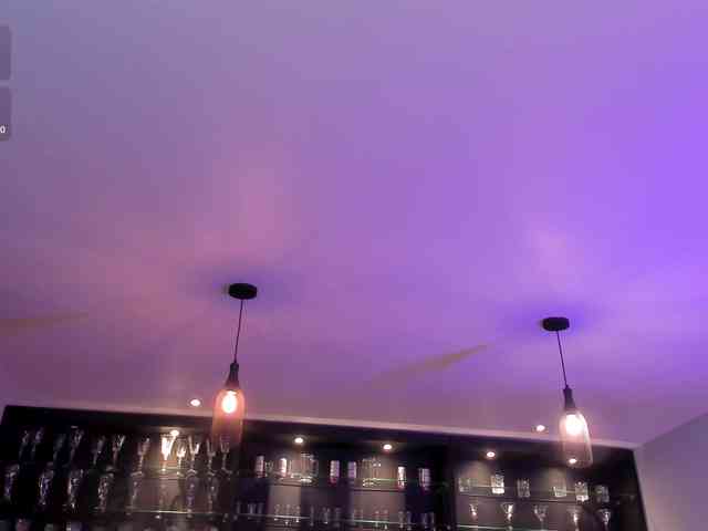 RoseFerrera webcam