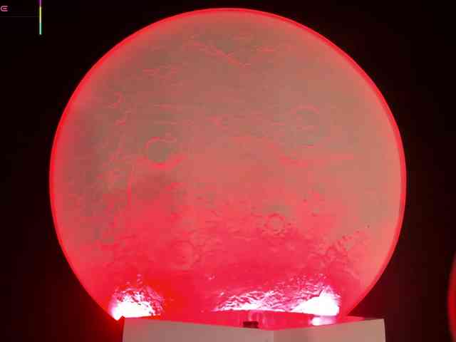 RoseFerrera webcam