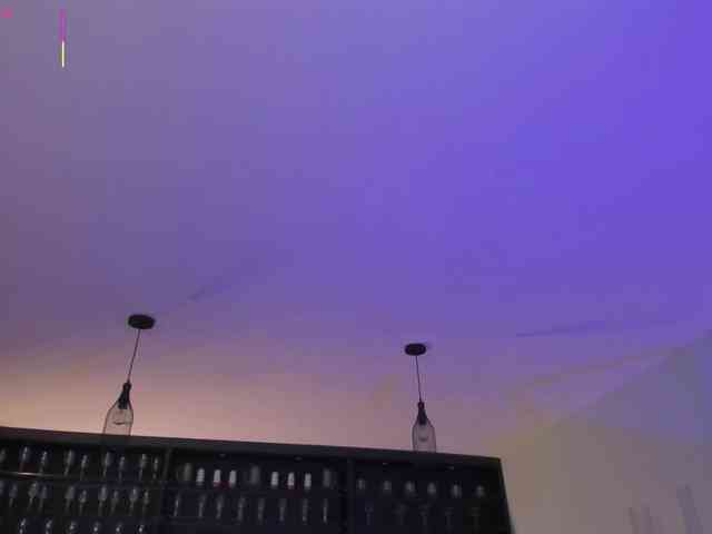 RoseFerrera webcam