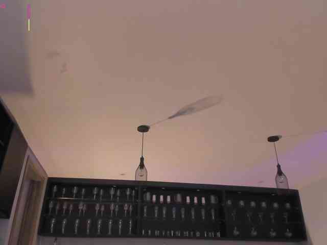 RoseFerrera webcam