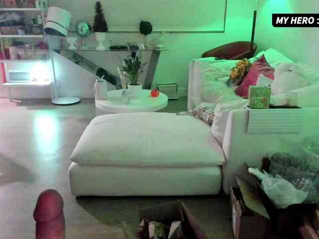 Vesabb webcam