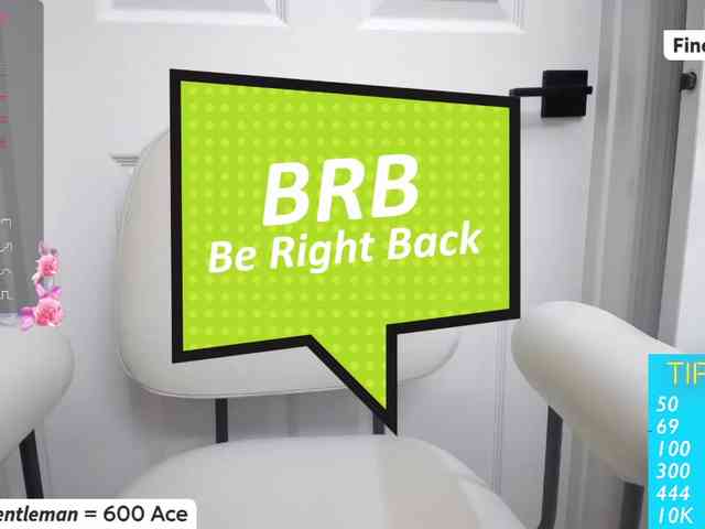 Vesabb webcam