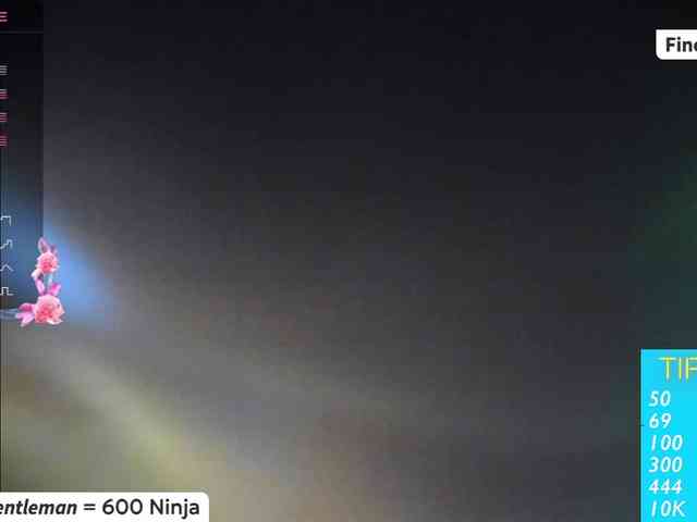 Vesabb webcam