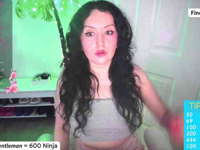 Vesabb webcam