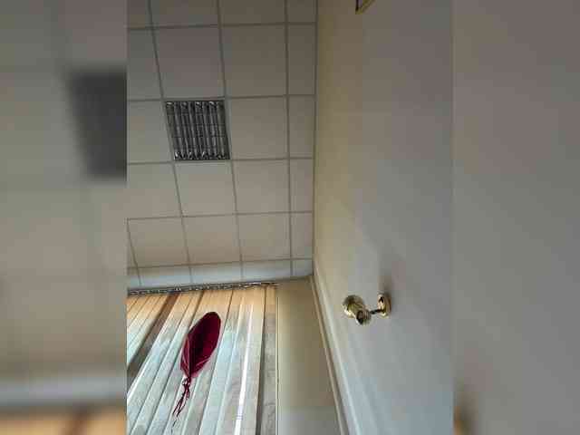 ViollaSweetA ViollaSweetA