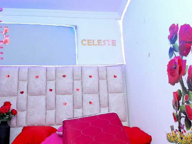Celeste-Linco webcam
