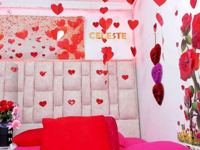 Celeste-Linco webcam