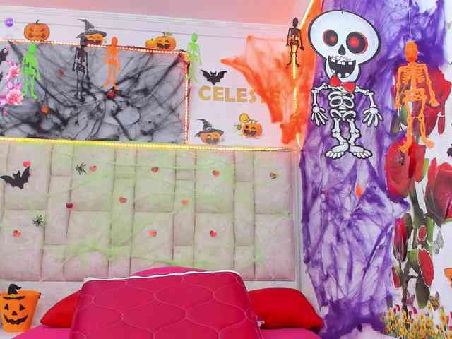 Celeste-Linco webcam