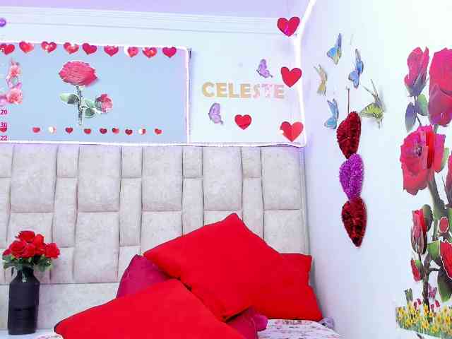 Celeste-Linco webcam