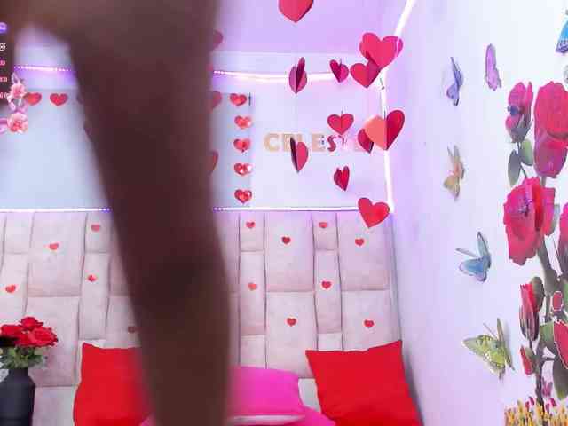 Celeste-Linco webcam