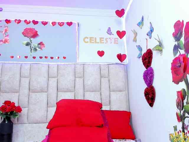 Celeste-Linco webcam