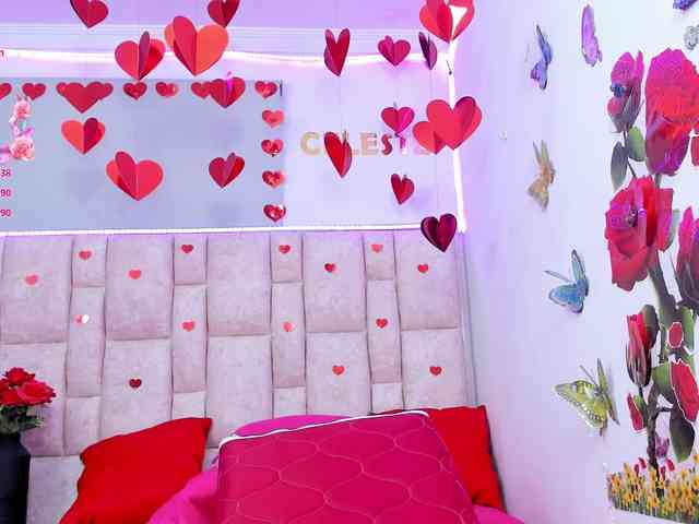 Celeste-Linco webcam