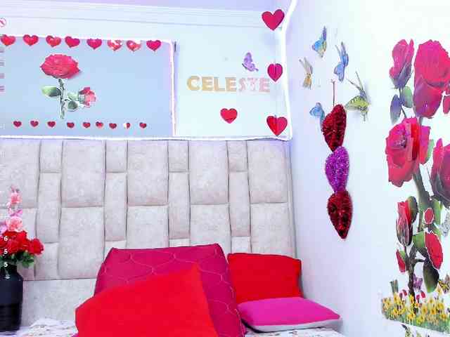 Celeste-Linco webcam