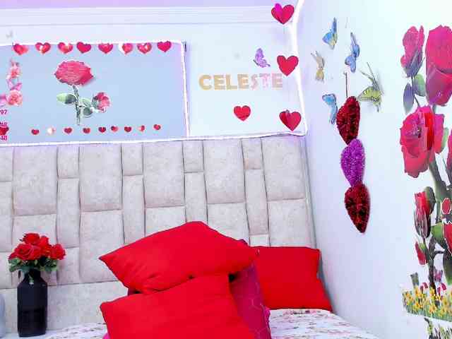 Celeste-Linco webcam