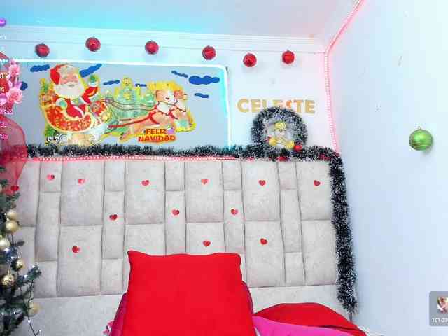 Celeste-Linco webcam