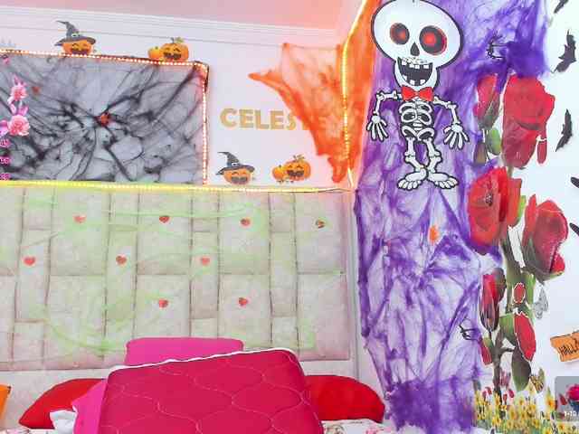 Celeste-Linco webcam