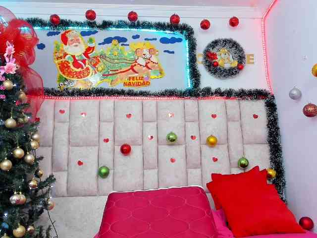 Celeste-Linco webcam