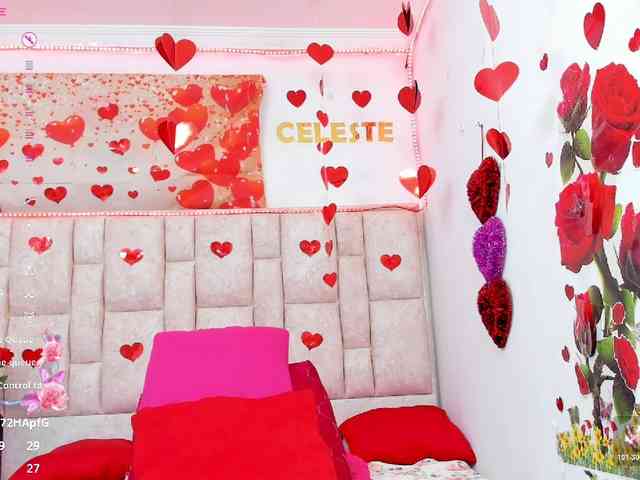 Celeste-Linco webcam