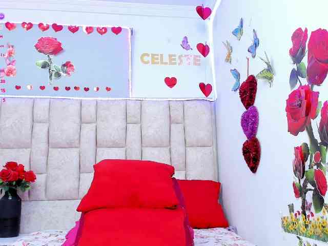 Celeste-Linco webcam