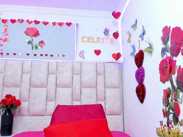 Celeste-Linco webcam