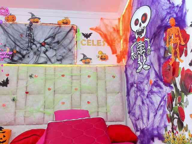 Celeste-Linco webcam