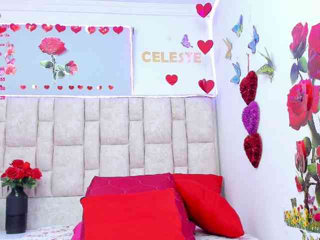 Celeste-Linco webcam