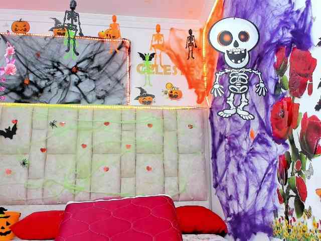 Celeste-Linco webcam