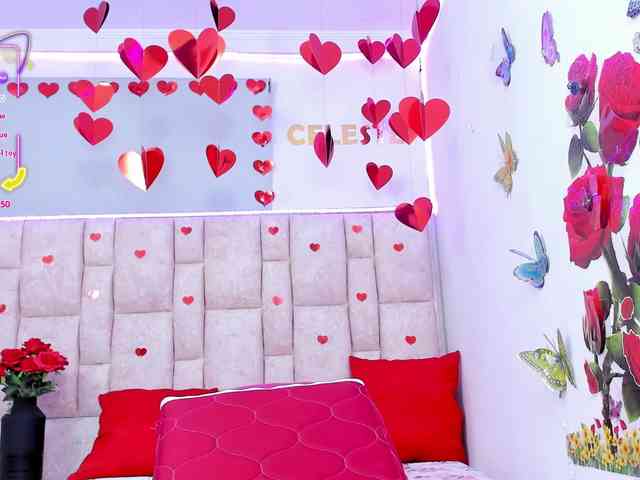 Celeste-Linco webcam