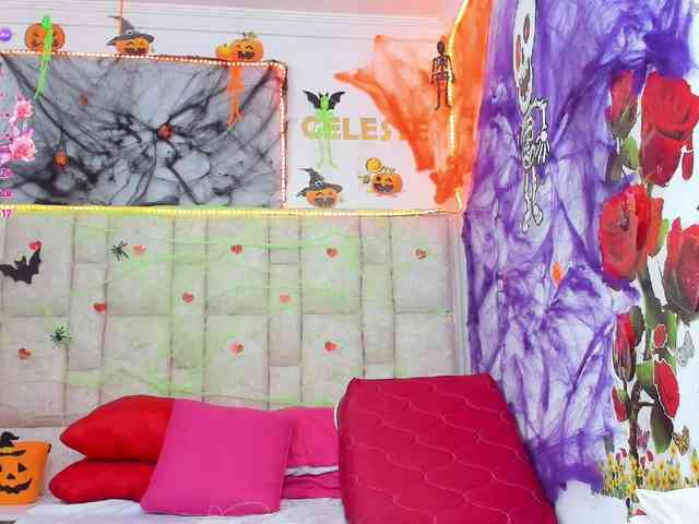Celeste-Linco webcam