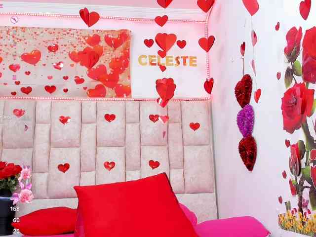 Celeste-Linco webcam