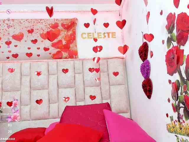 Celeste-Linco webcam