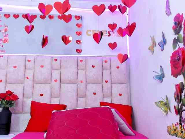 Celeste-Linco webcam