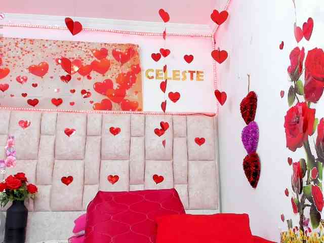 Celeste-Linco webcam